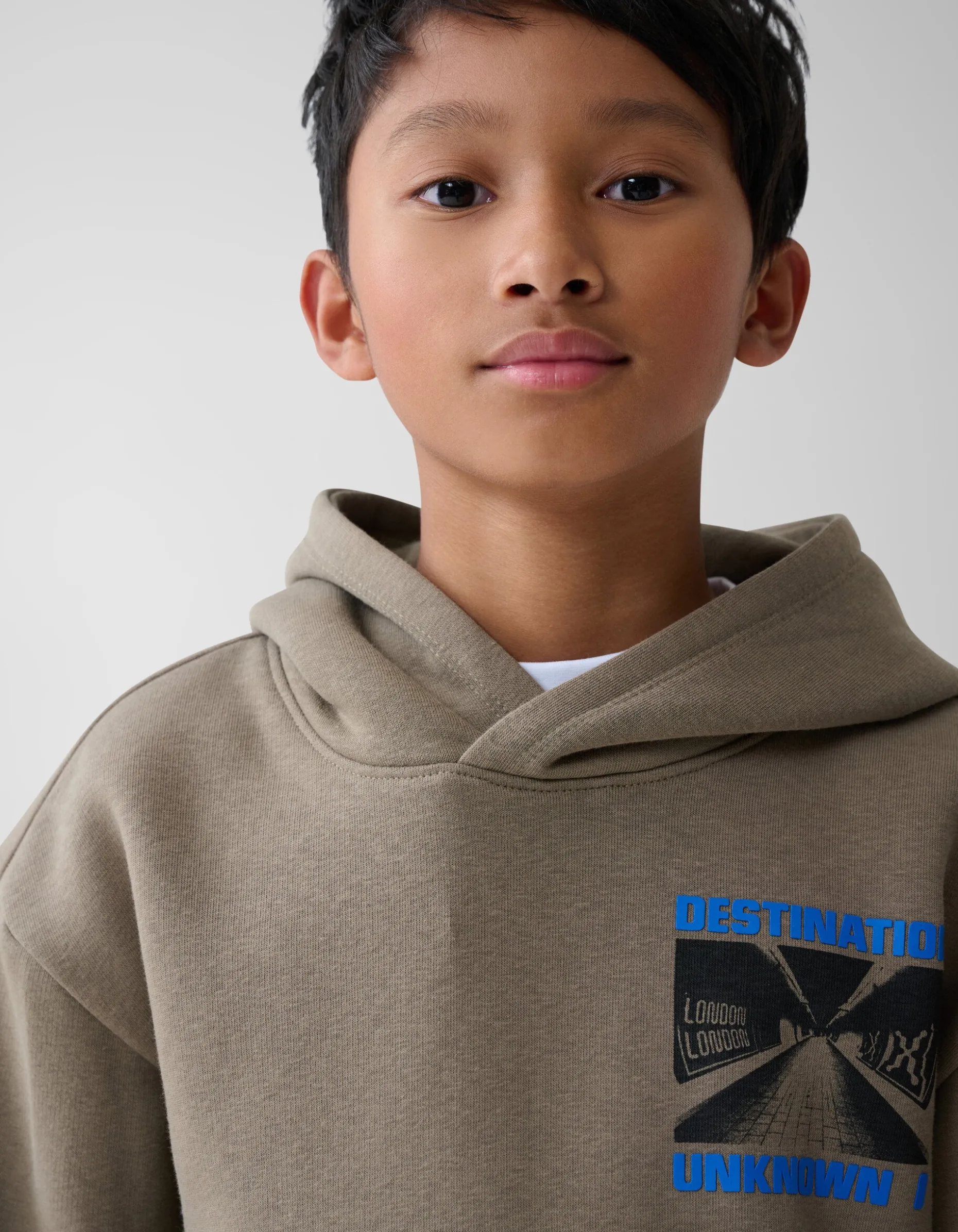 Artwork Hoodie Bruin