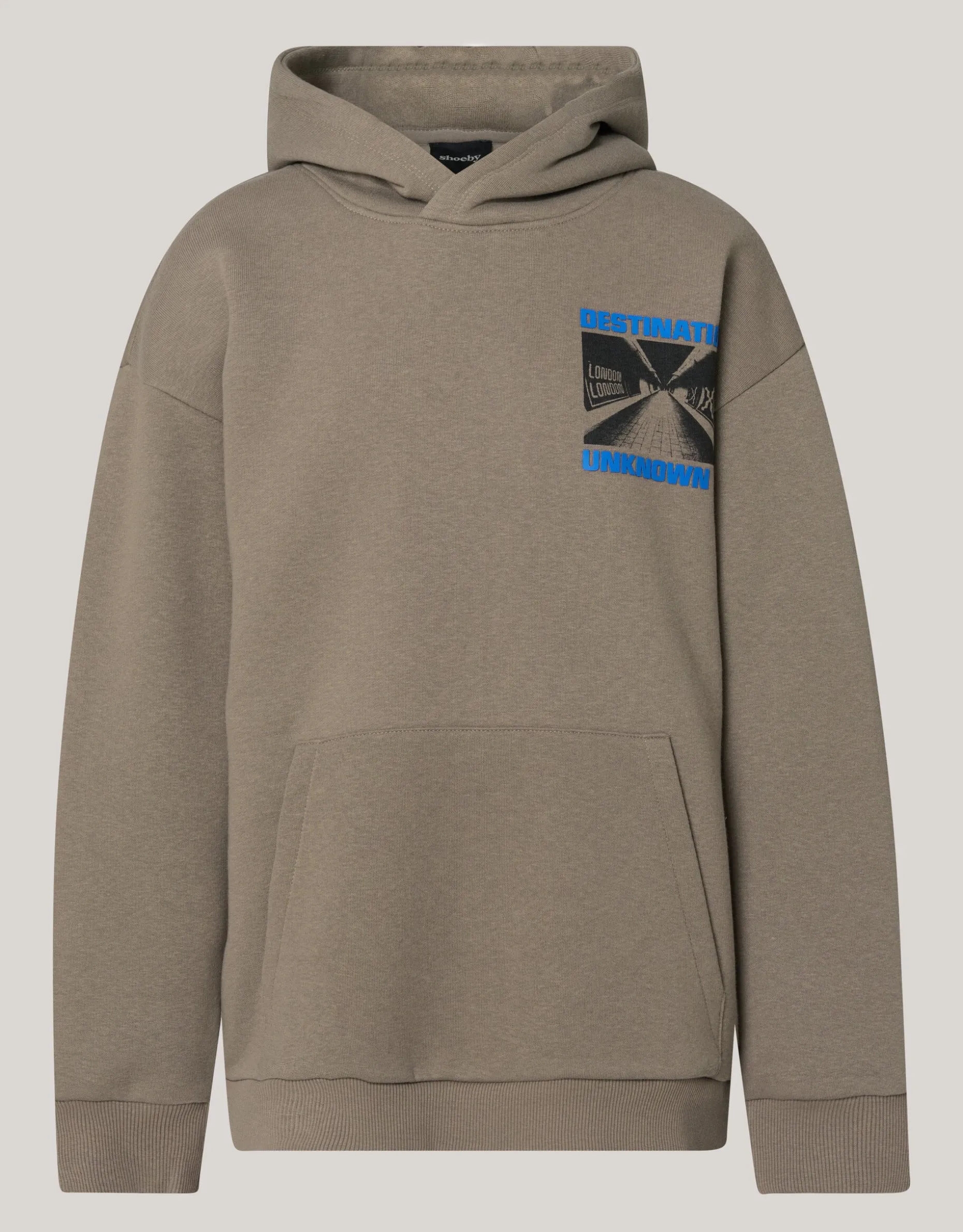 Artwork Hoodie Bruin