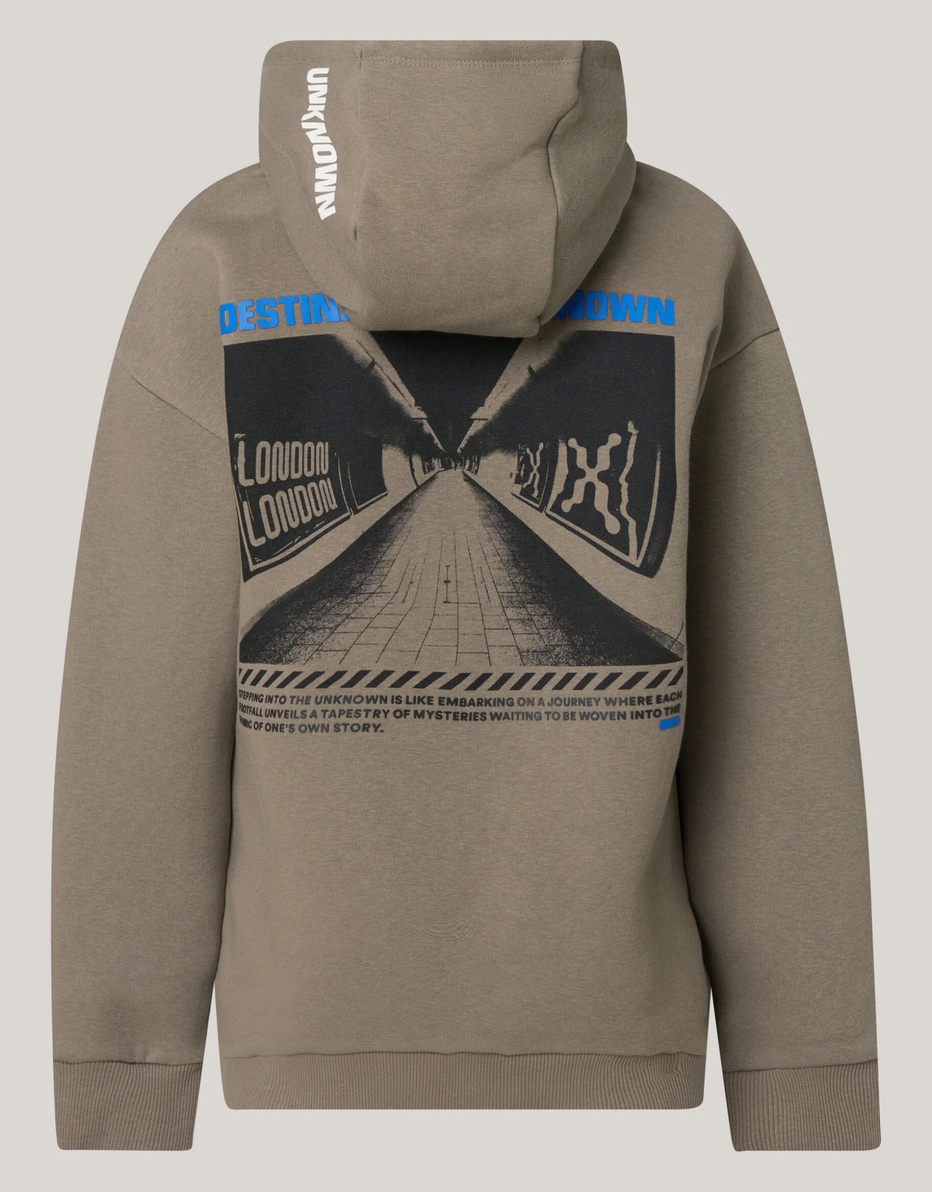 Artwork Hoodie Bruin