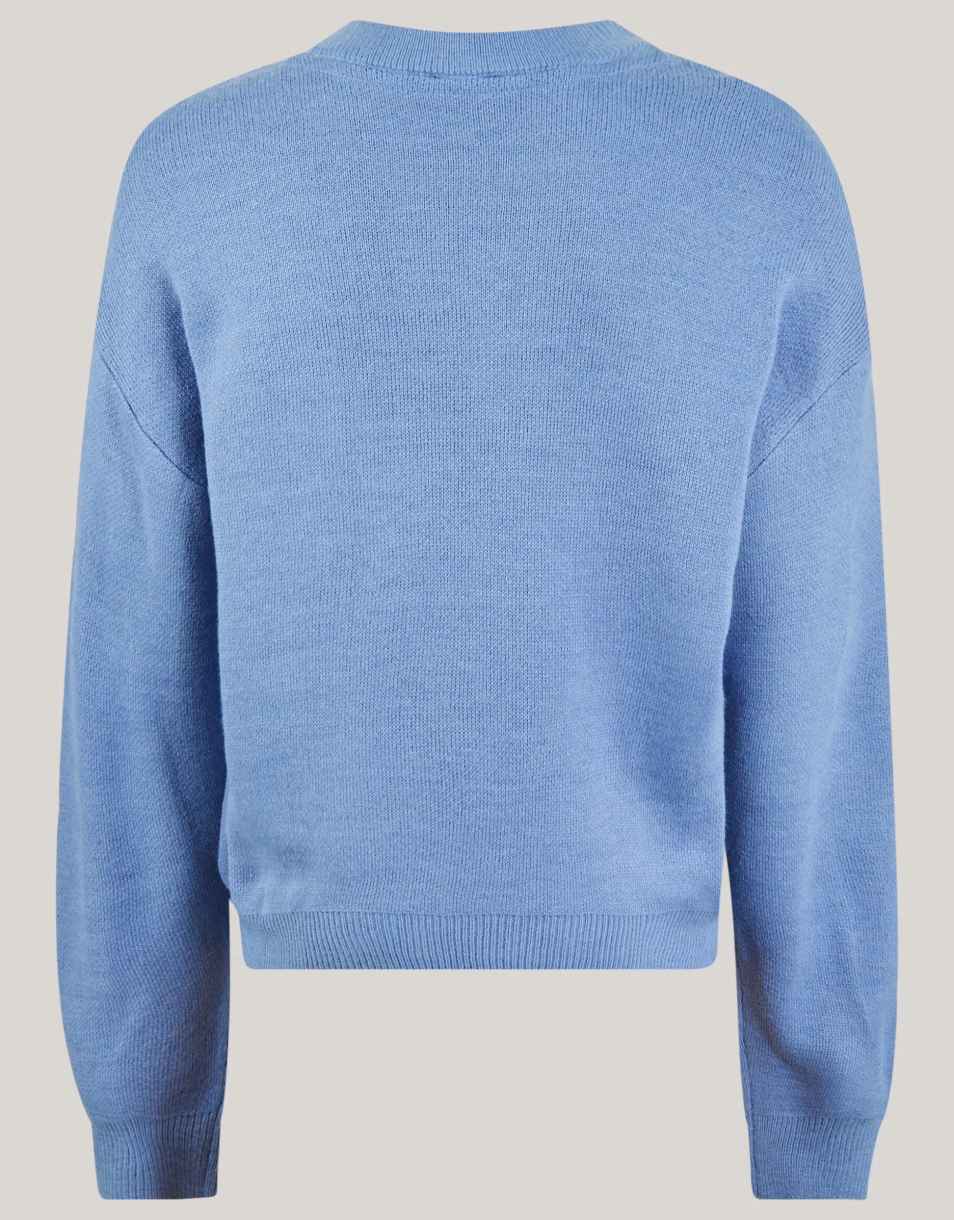 Artwork Trui Blauw