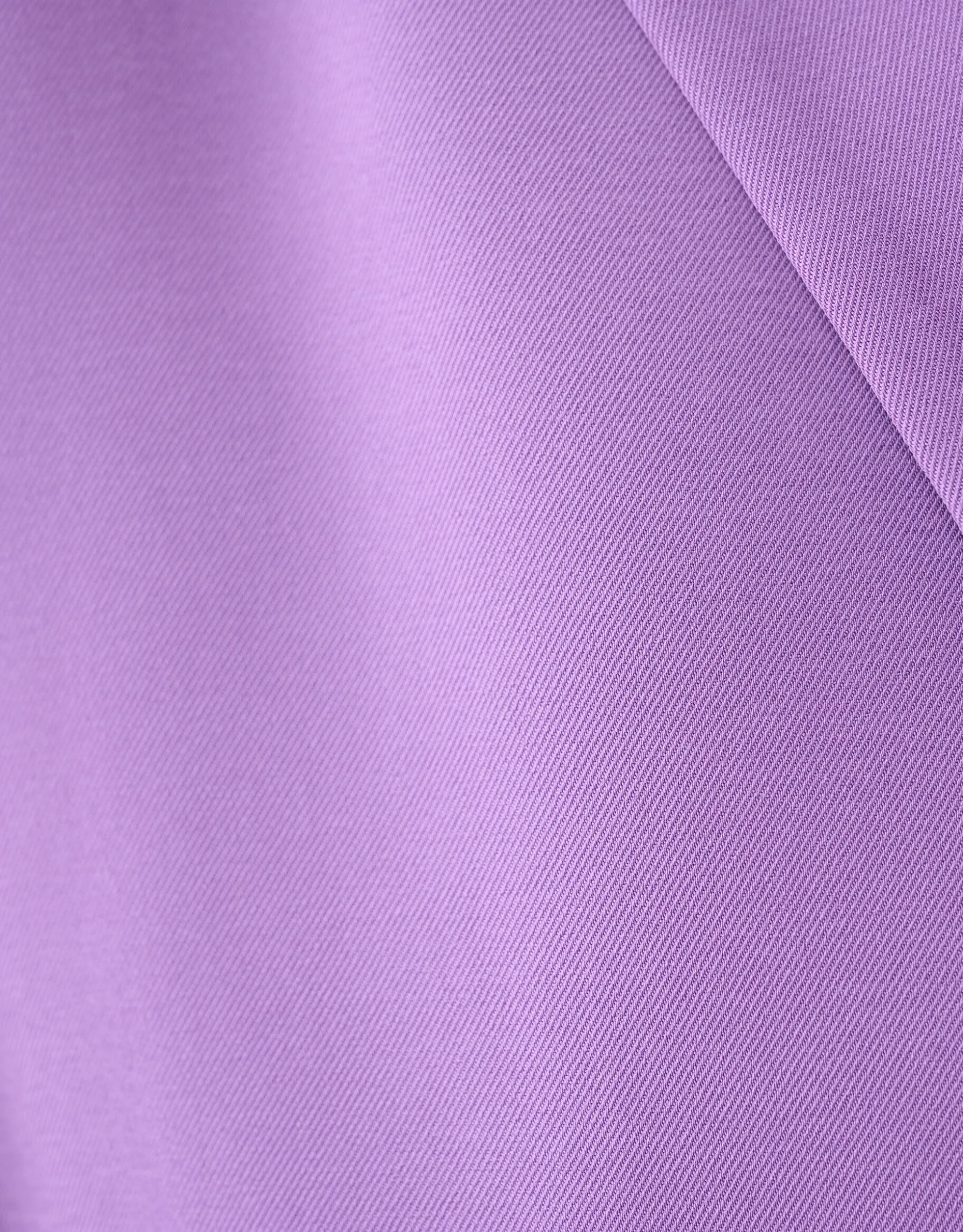 Basis Blazer Paars
