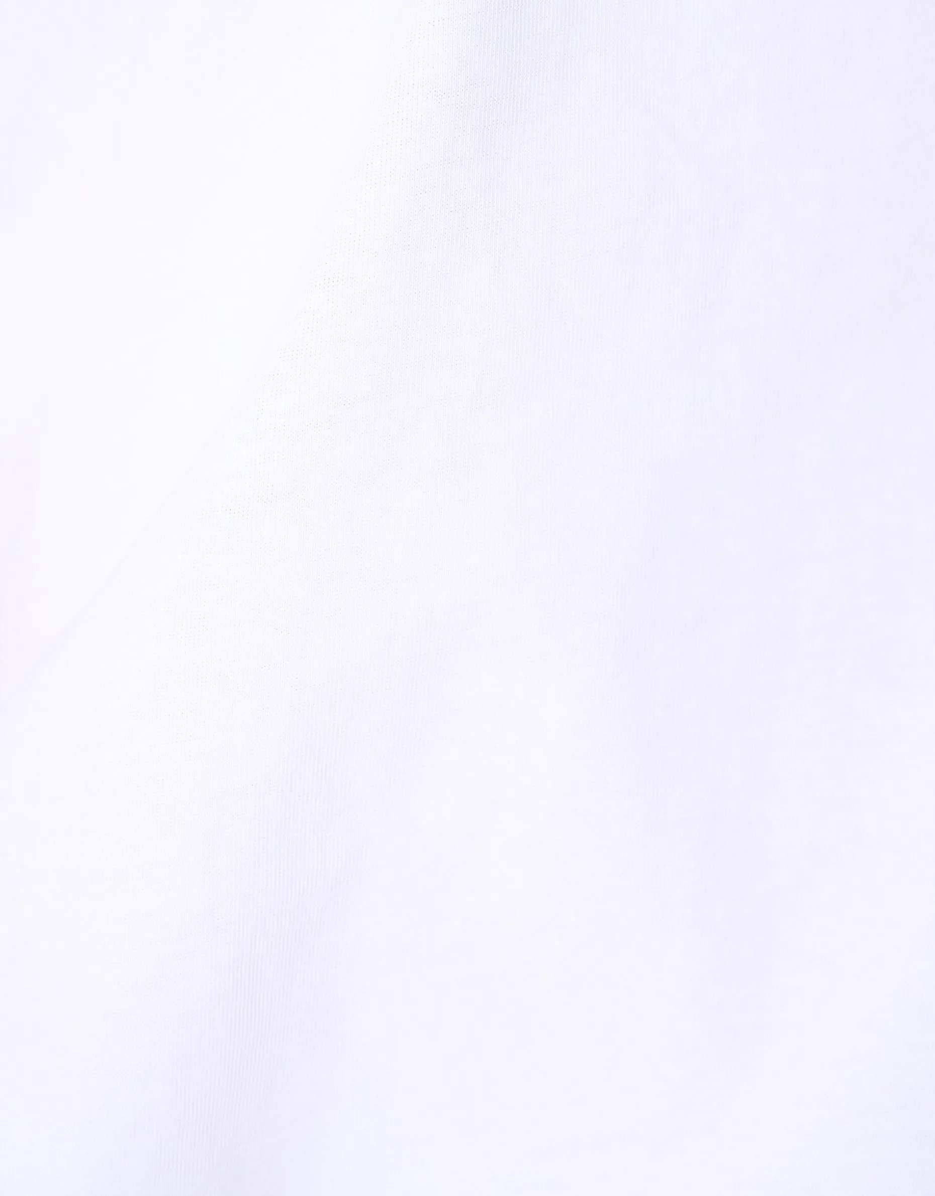 Basis T-shirt Wit