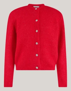 Harig Vest Rood