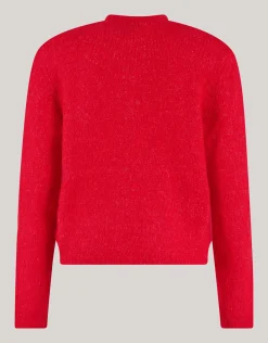 Harig Vest Rood
