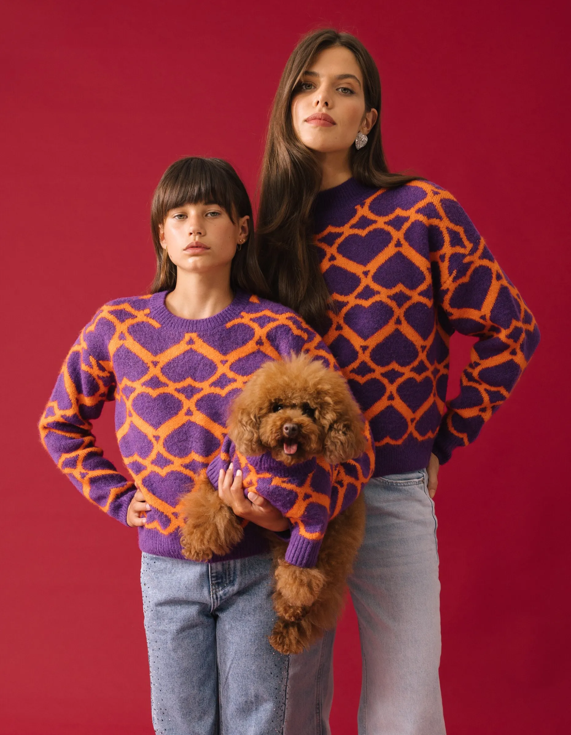 Heart Printed Honden Trui Paars By Furmey