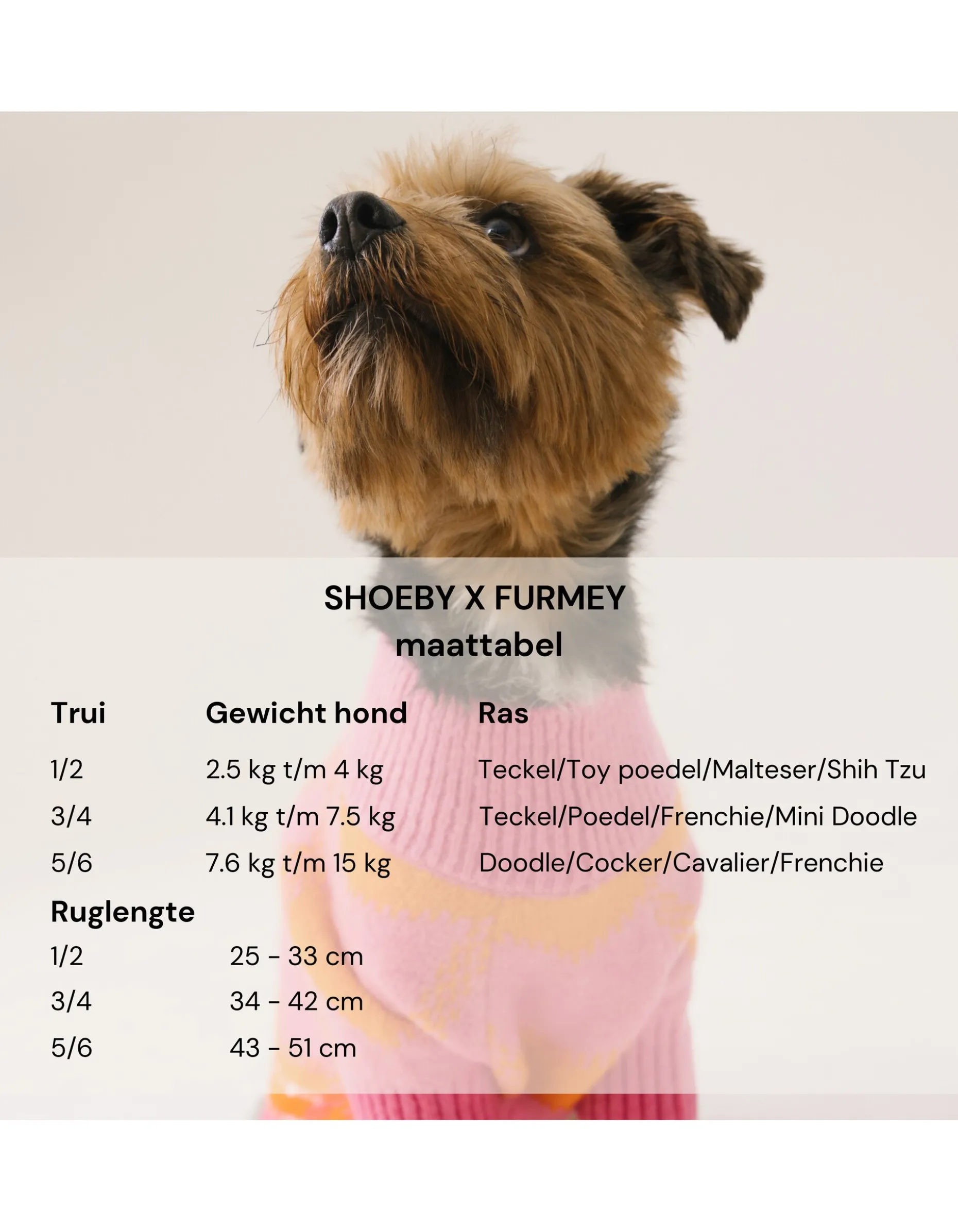 Heart Printed Honden Trui Paars By Furmey