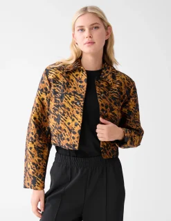 Leopard Jack Bruin