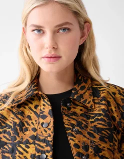 Leopard Jack Bruin