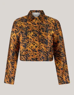 Leopard Jack Bruin
