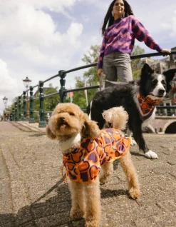Printed Honden Regenjas Oranje By Furmey