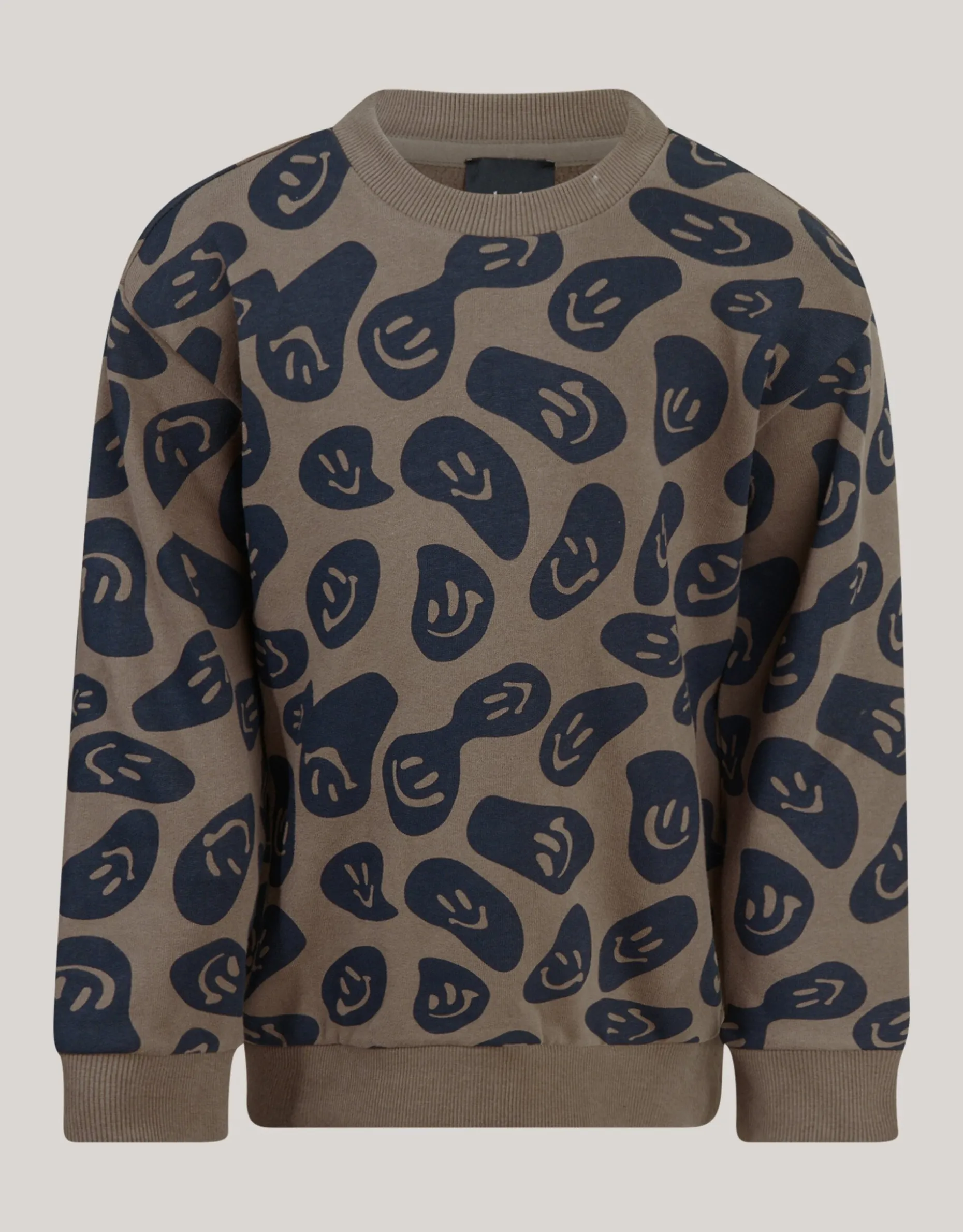 Printed Sweater Bruin