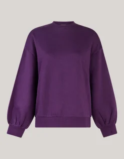 Set Sweater Donkerpaars