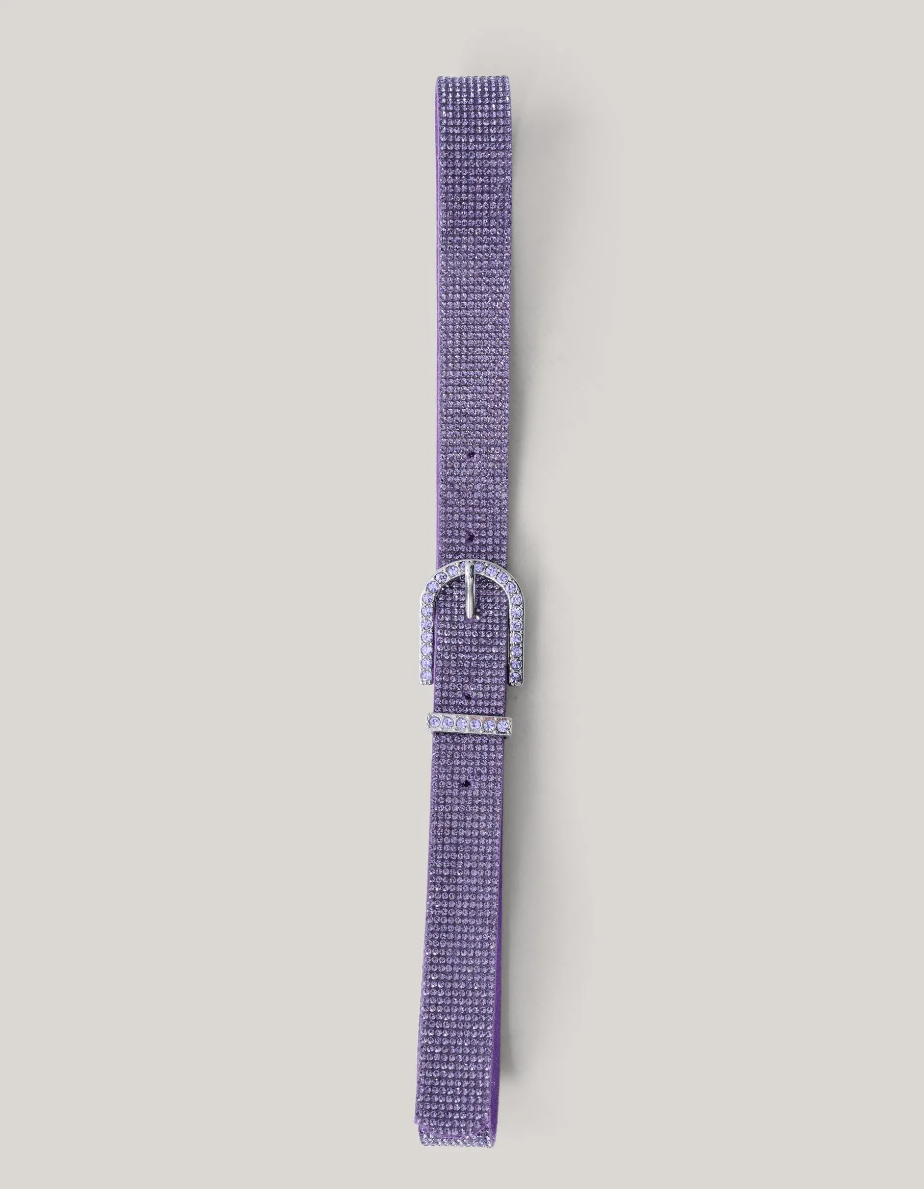 Strass Riem Paars