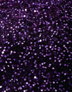 Velvet Pailletten Top Donkerpaars