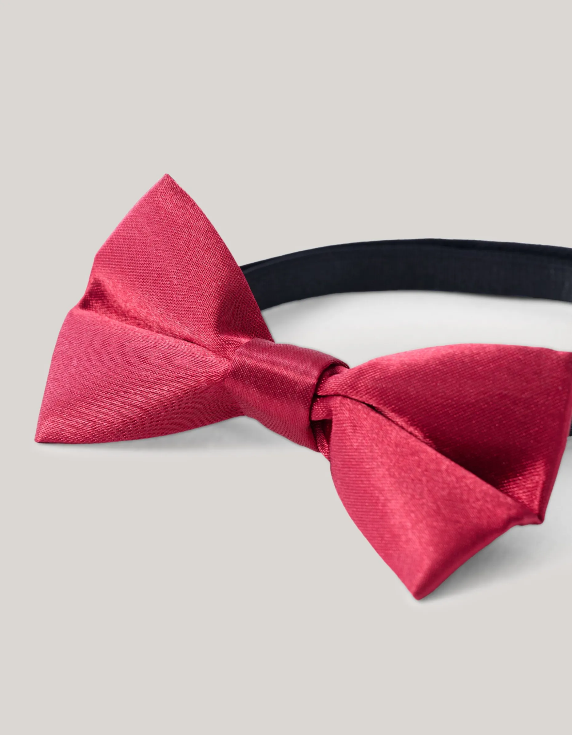Vlinderstrik Rood